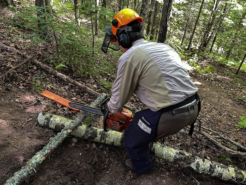 Chainsaw work prep for building one of the water bars to control erosion.