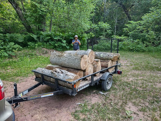 A trailer filled with large black ash logs.