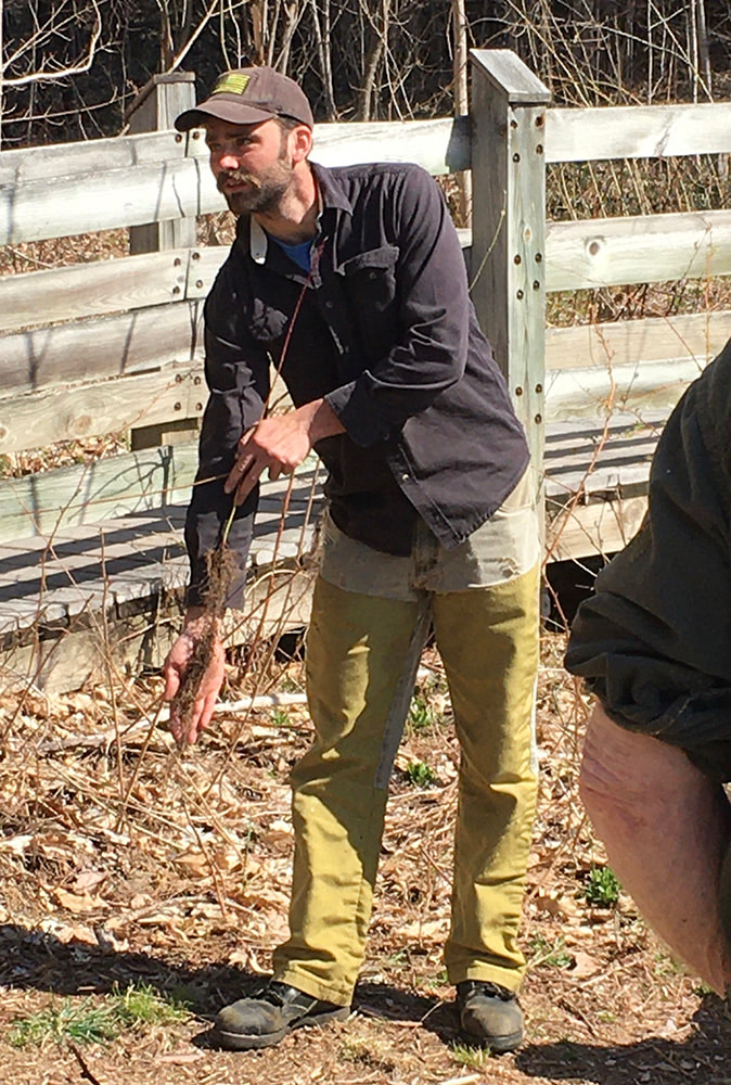 Nile Merton from Bay Area Environmental Consulting explains how to plant bare root stock.