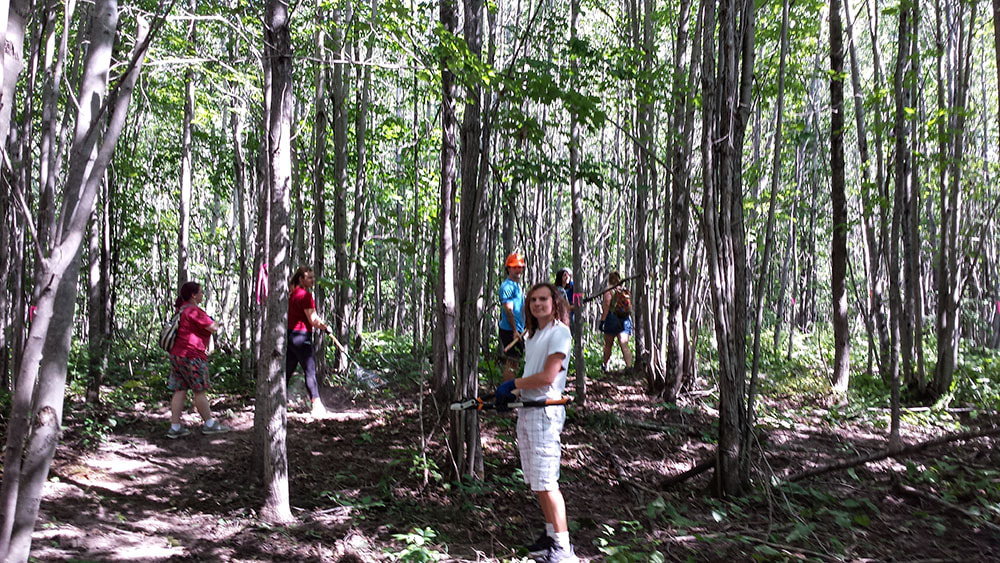 A group of Northland college students cutting the trail through the forest.