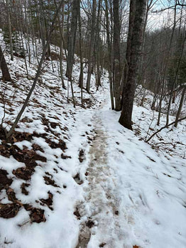 Ice and snow covered trail in the forest