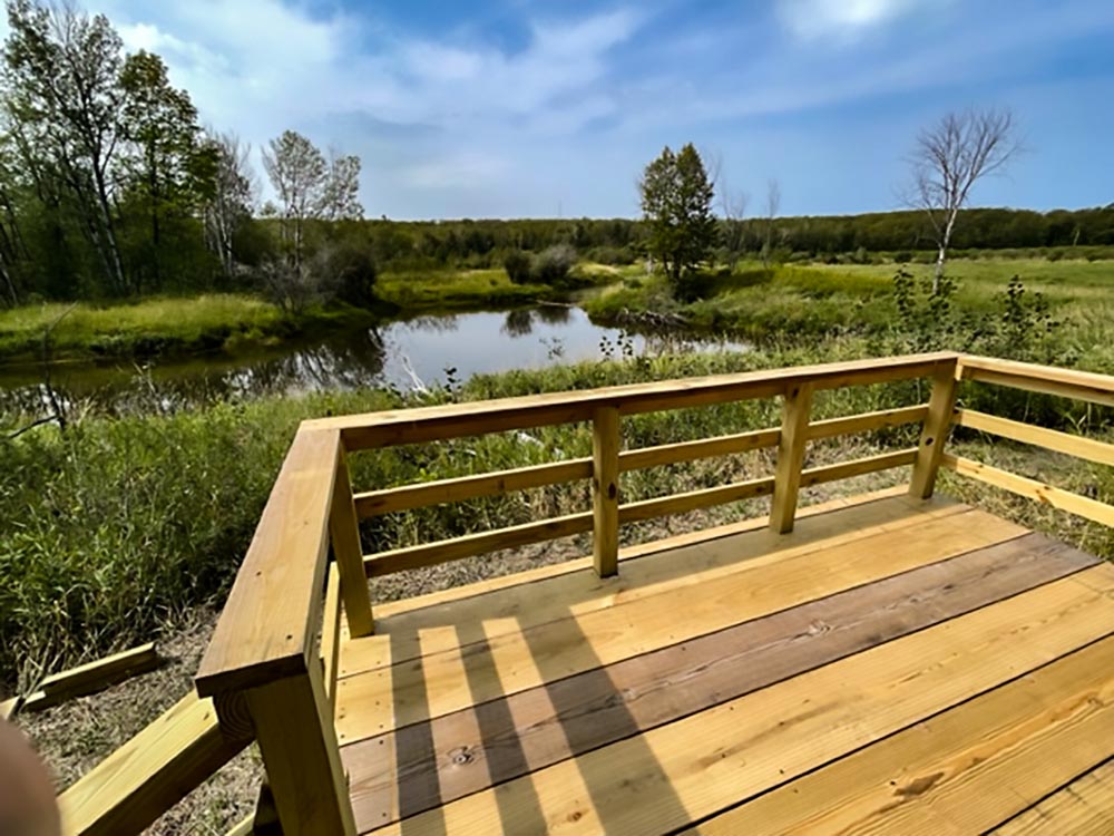 A wooden platform overlooking a marsh and pond
